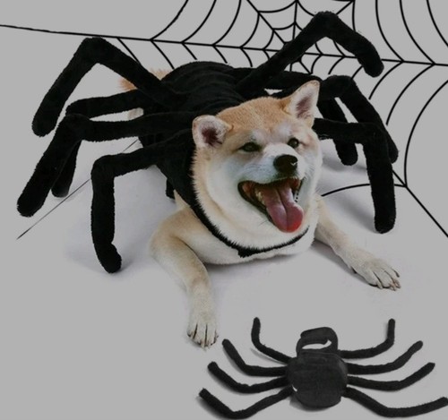 Dog spider costume - dog,