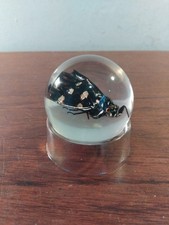 TAXIDERMY BUG IN RESIN, FLYING INSECT, 5.5CMS DIAMETER BALL