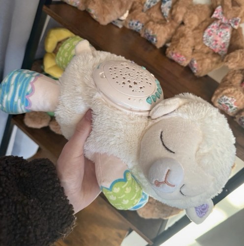 Vtech light and - light, teddy