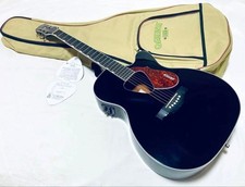 Gretsch G5013CE Rancher Mint