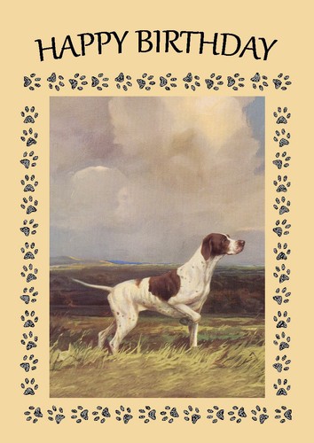Pointer dog birthday - dog, card