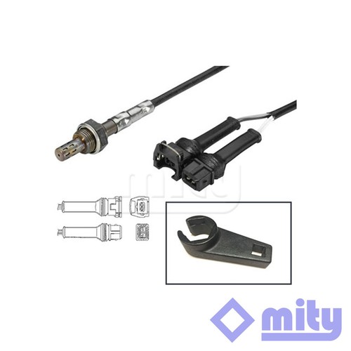 Fits fiat punto cinquecento - fits,