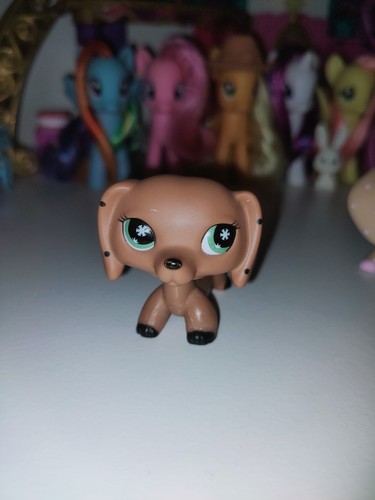 Not auth littlest pet - not,