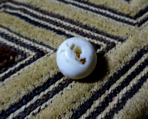 Conch shell bead barrel - conch,
