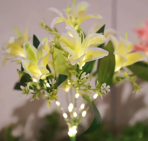 Pack yellow solar - solar, lily