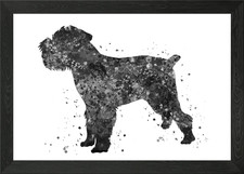 Brussels griffon Framed Wall