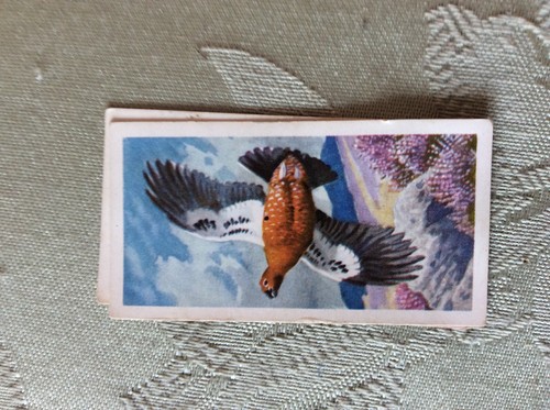 A1z trade card brooke bond - card, no