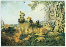 Timber Run in Welsh Hills