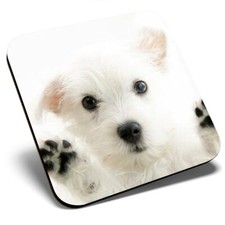 Square Single Coaster - Cute