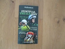 CHELTENHAM Races - Festival