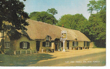 postcard - new forest   the
