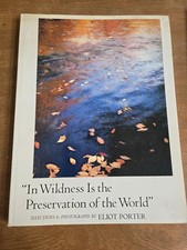 In Wilderness Is The