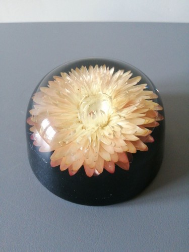 Vintage lucite paperweight - vintage,