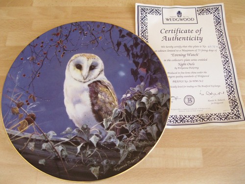 Evening watch night owls - evening,