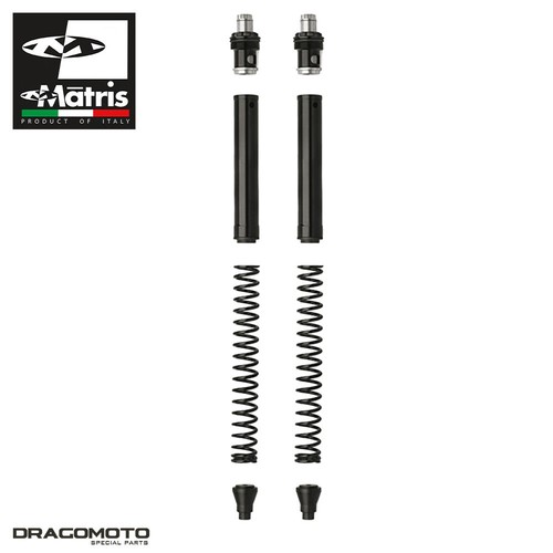 Fork kit suzuki - sv, 650