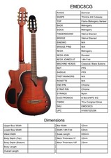Guitar By Tanglewood, Model