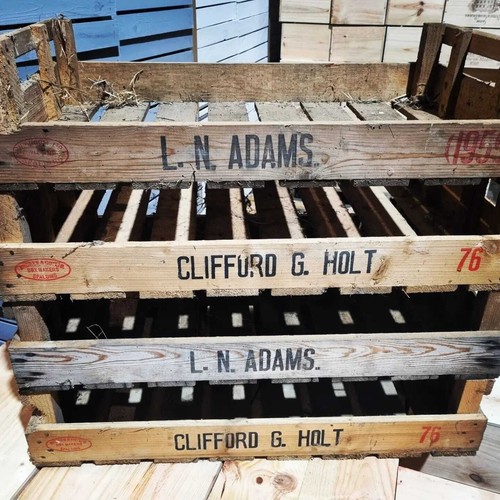 Vintage potato chitting trays