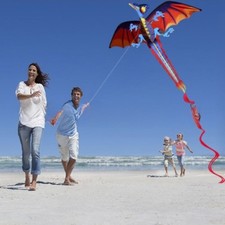 Pterosaur 3D Dragon Kite Good