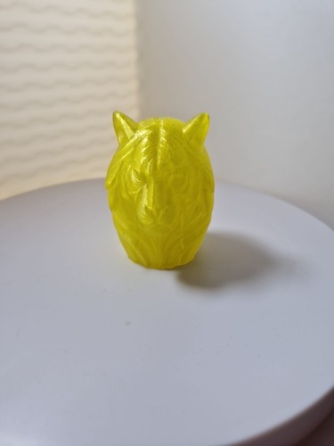 Printed tiger head - printed,