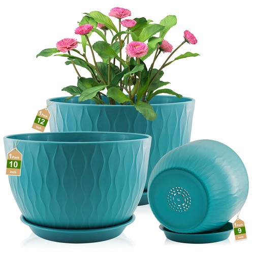 Pack large plant pots with - 3,