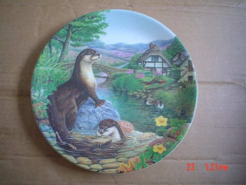 Davenport collectors plate - collectors,
