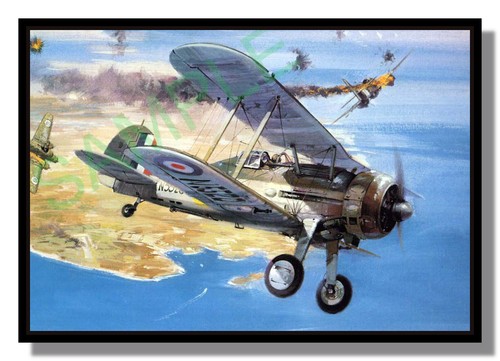 Raf gloster gladiator biplane - gloster,