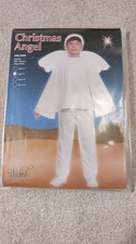 Wicked Costumes - Christmas