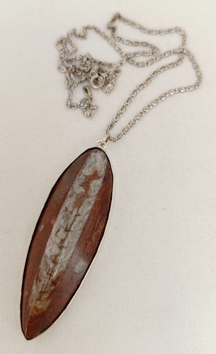 Vintage orthoceras fossil - vintage,
