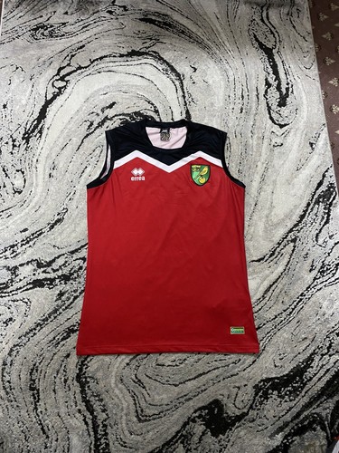 Norwich city match - norwich, worn
