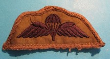 PARATROOPER SUBDUED WINGS USED