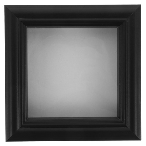 Insect display case tabletop - insect,