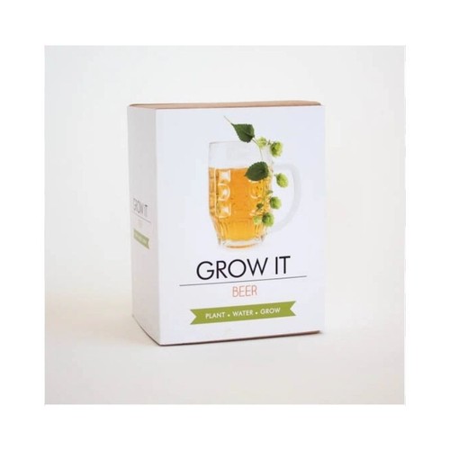Beer hops growing - growing,