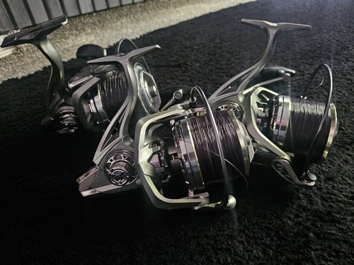 Unbranded carp big - carp, pit