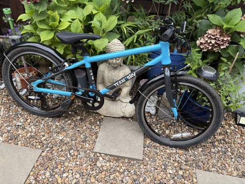 Frog bike - frog, 55