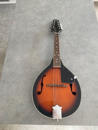 Ashton string mandolin - ashton,