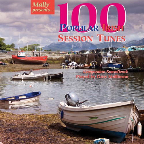 100 popular irish session - 100,