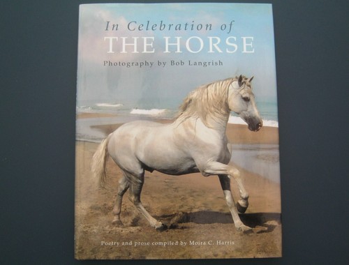 Celebration the horse by - horse,