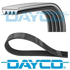 DAYCO V-RIBBED BELT 4 RIBS