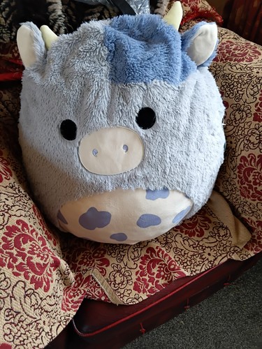 Huge jumbo squishmellow - huge,