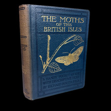 The Moths of the British Isles