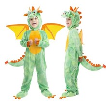 Baby Dragon Costume - 5 To 7
