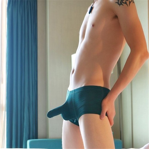 Full coverage extended - extended, pouch