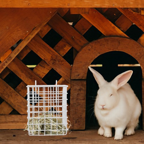 White iron bunny hay - bunny,