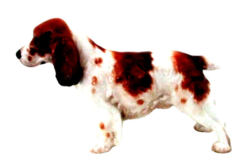 Rare royal doulton cocker - royal,