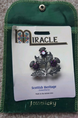 Scottish miracle thistle - scottish,