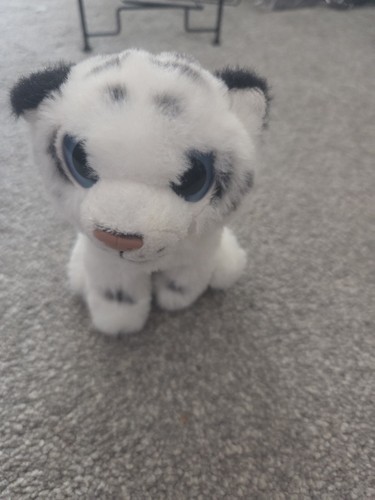 Nature planet white - planet, tiger