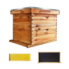 Langstroth Beehive Kit - 20