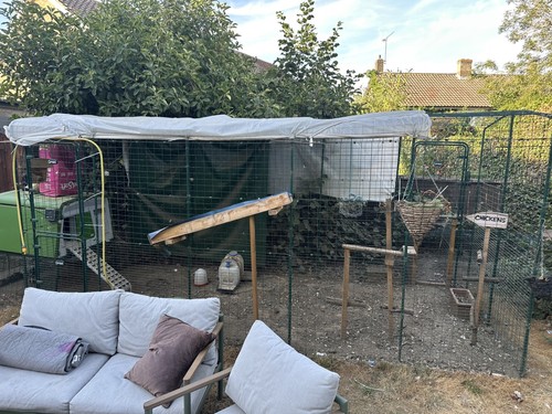 Omlet eglu chicken coop with - chicken,