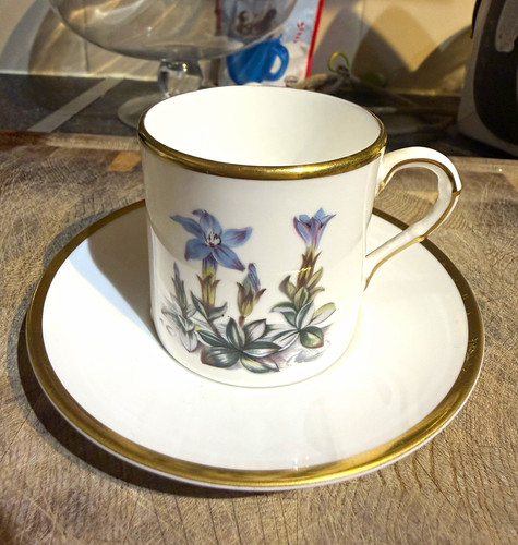 Royal worcester bone - worcester,