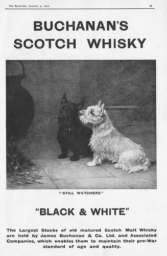 Buchanan scotch whisky black - scotch,